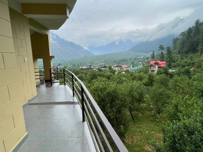 Cosmos Manali