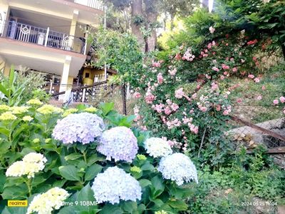 Home Stay in Dalhousie