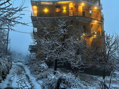 Cosmos Manali