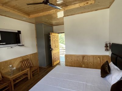 Cosmos Manali