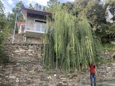 Independent Cottage at Mukteshwar