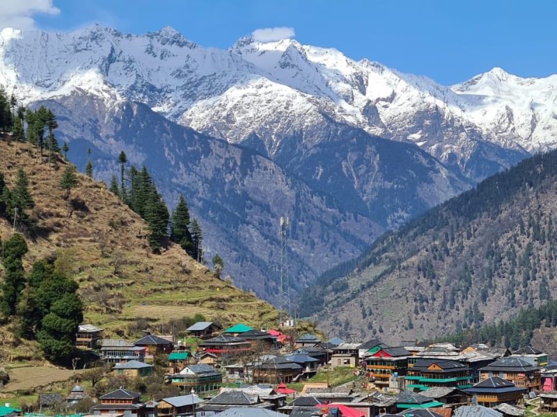 The Forest Edge, Tirthan Valley, Himachal Pradesh