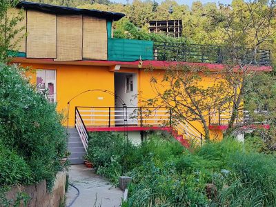 Mustard House
