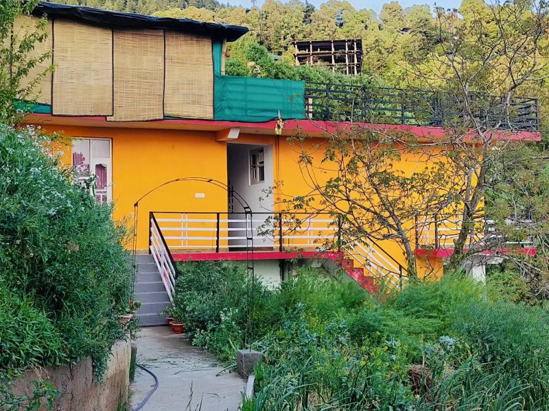 Mustard House