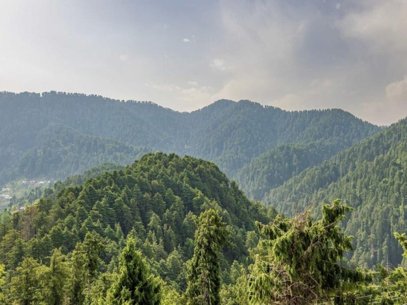 4 BHK Cottage Upper Bakrota, Dalhousie, Himachal Pradesh