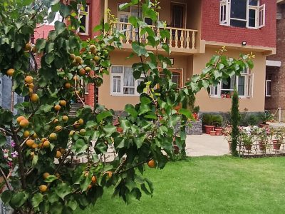 Alborz Homestay Srinagar, Kashmir