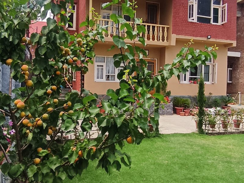 Alborz Homestay Srinagar, Kashmir