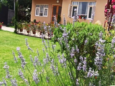 Alborz Homestay Srinagar, Kashmir