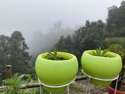 Homestay in Jageshwar, Uttrakhand