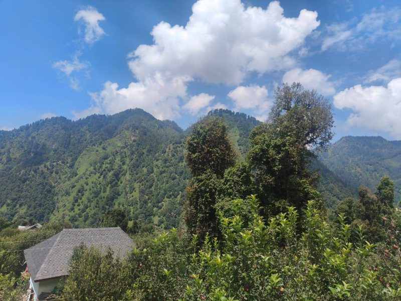 Homestay in Mandi, Near Parashar Lake