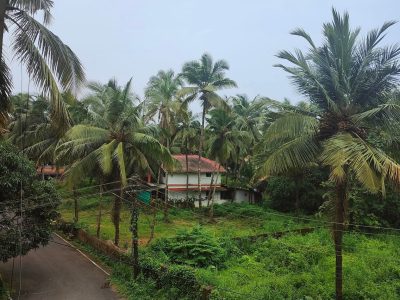 2 Bed Room, Hall and Kitchen Apartment