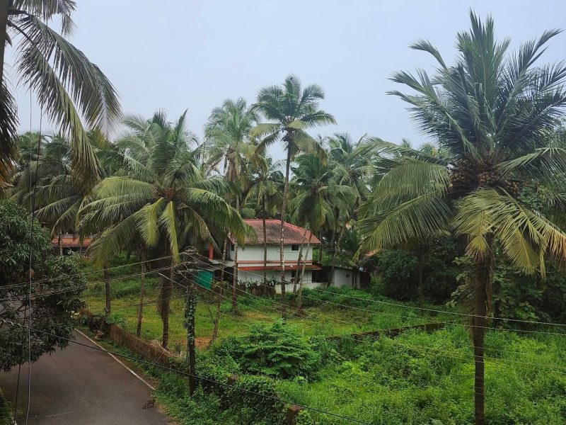 2 Bed Room, Hall and Kitchen Apartment