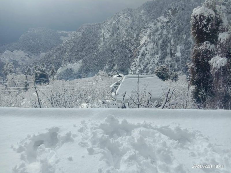 Homestay in Mandi, Near Parashar Lake