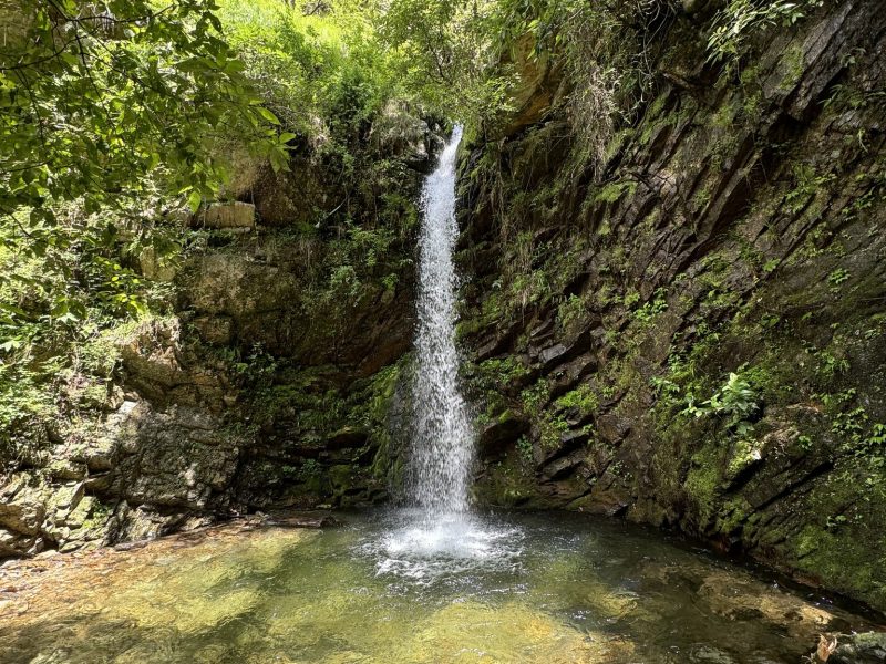 Free Bird Cottage Ramgarh