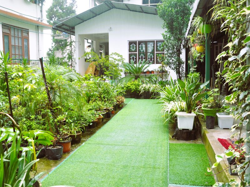 Arthur's Inn Homestay, Gangtok, Sikkim