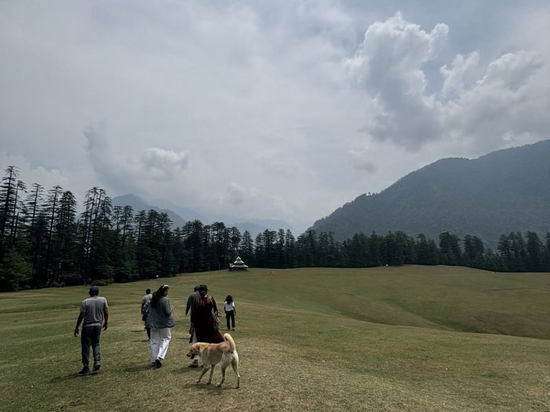 Pin Parvati Himalayan Home Stay