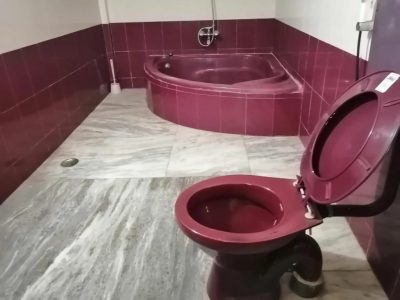 Peace Villa Luxurious 5BHK Siridao Goa Beach