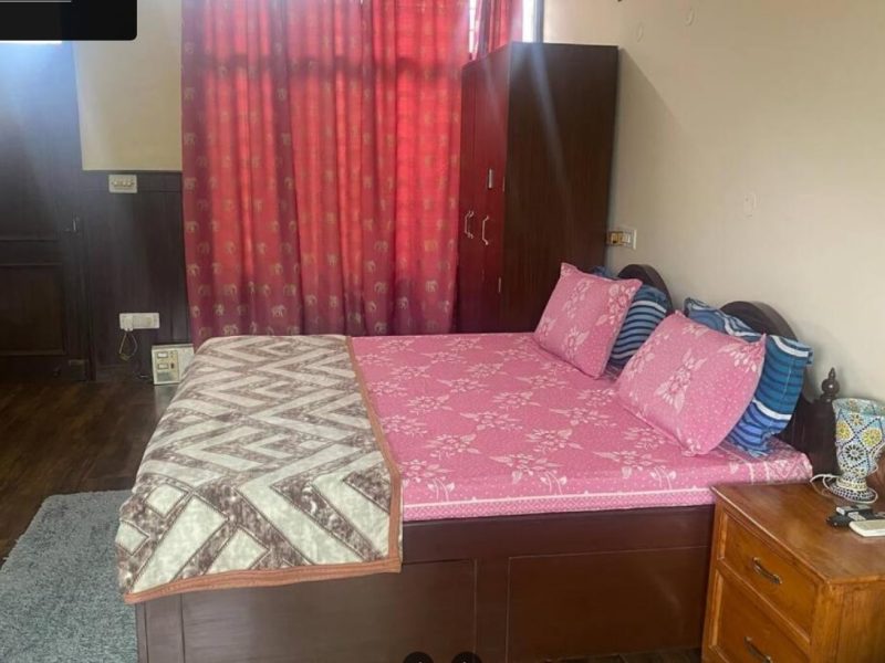 Villa with tropical garden, Kansal Road, Chandigarh