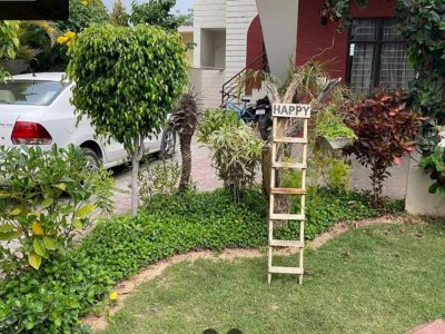 Villa with tropical garden, Kansal Road, Chandigarh