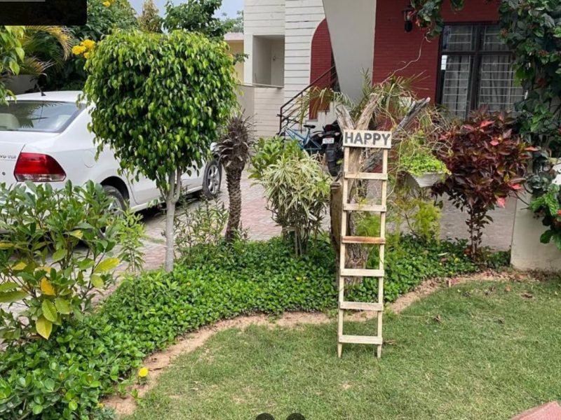 Villa with tropical garden, Kansal Road, Chandigarh