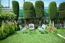 Tree Cottage, Sri Nagar, Kashmir