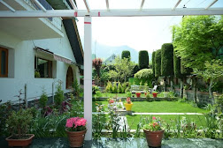 Tree Cottage, Sri Nagar, Kashmir