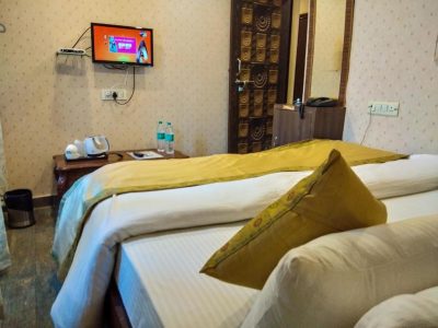 Diwedi Hotels Palace on Steps