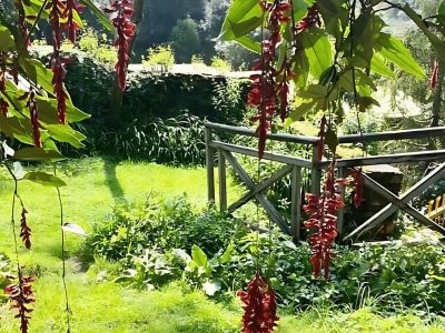 Cottage -Woodside Retreat