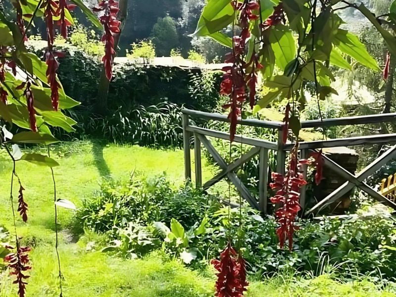 Cottage -Woodside Retreat