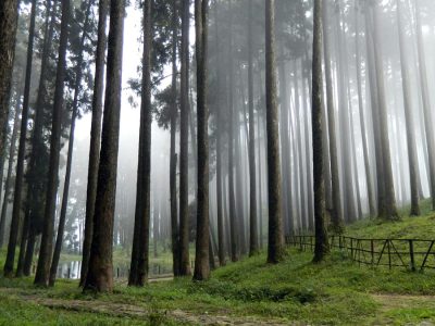 RJ Resorts Darjeeling