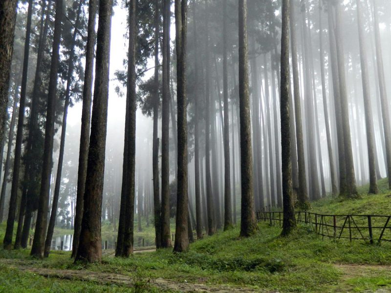 RJ Resorts Darjeeling