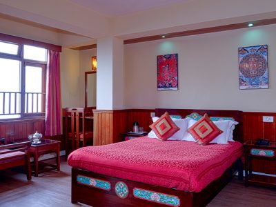 Hotel Sonam Delek
