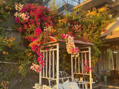 Westberry Sapphire Shimla