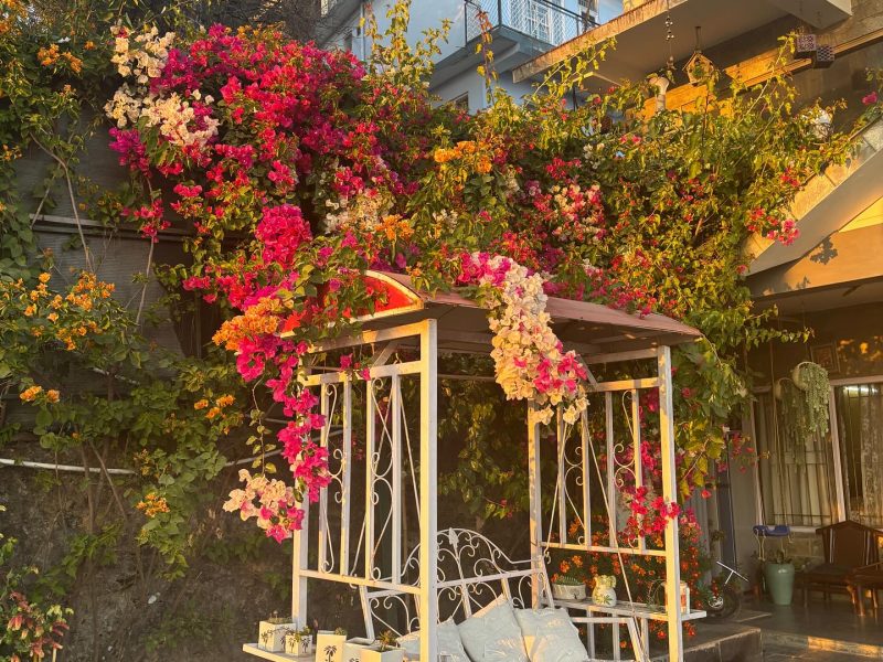 Westberry Sapphire Shimla