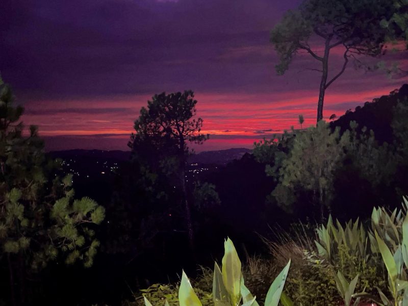 Westberry Sapphire Shimla