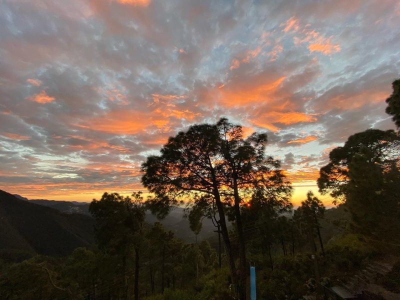 Westberry Sapphire Shimla