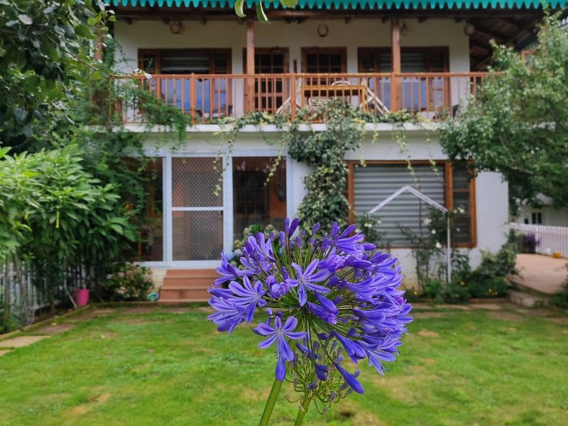 Alpine Home,Mukteshwar Nanital Uttarakhand