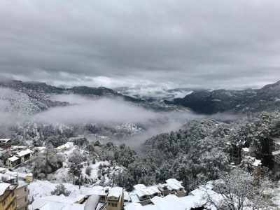 Tanwar BB (bloominn) Shimla