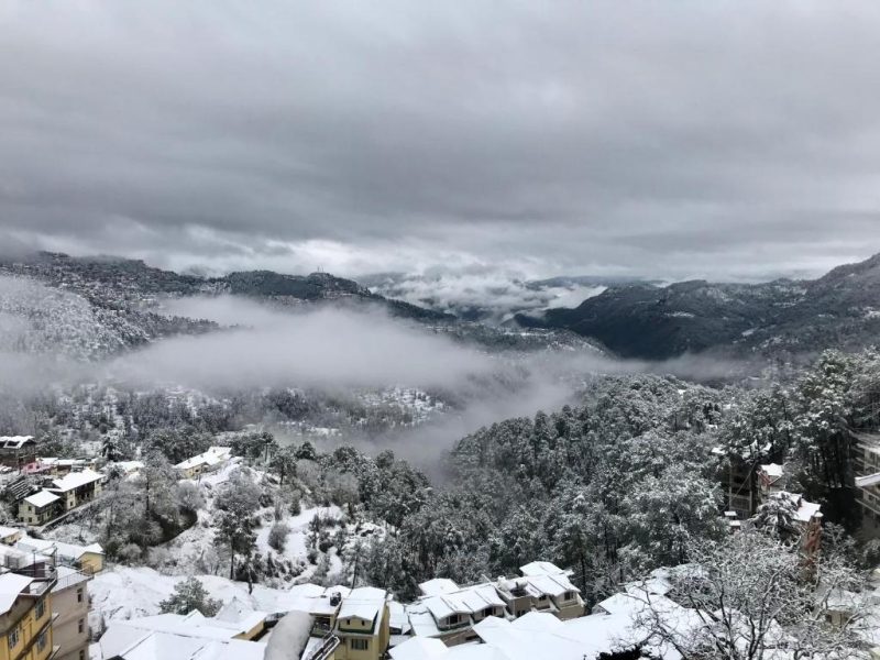 Tanwar BB (bloominn) Shimla