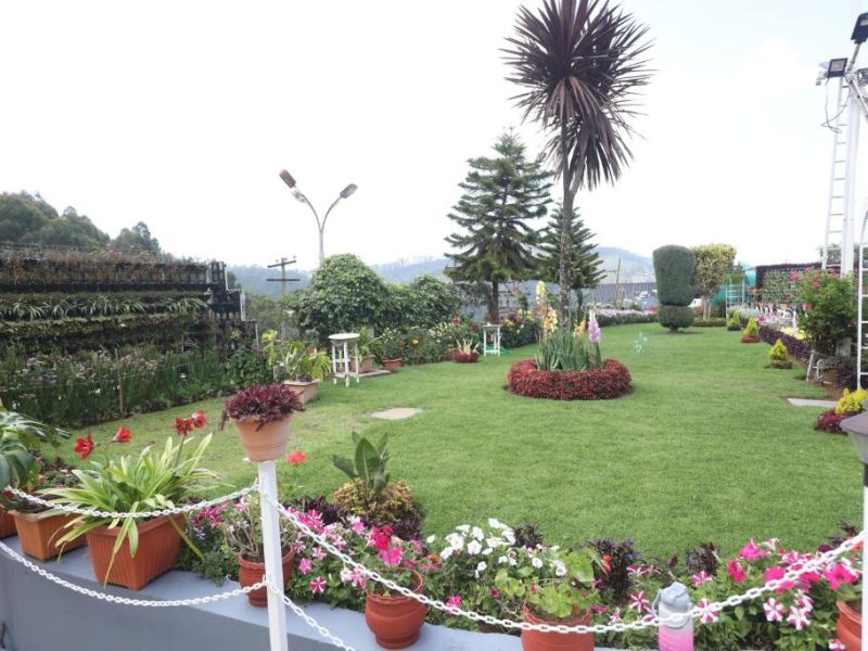 Ooty Delightz Inn Resorts