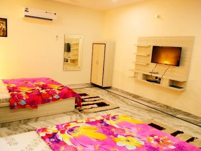 Taj Castle Homestay, Agra