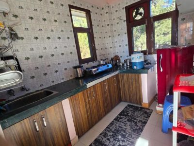 Thakur homes- couple and family friendly homestay - Apartment with City View