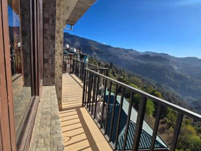 Thakur homes- couple and family friendly homestay - Apartment with City View