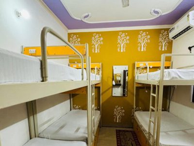 Friends Paying Guest, Agra