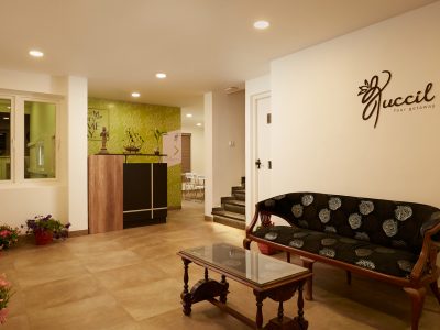 Tuccil Luxury Home Stay