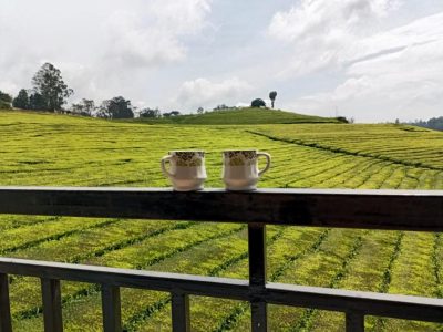 Tea Estate view Stay