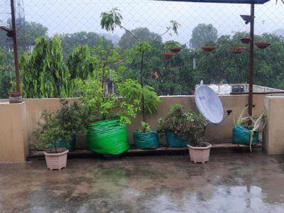 Vedic Life Homestay Jaipur