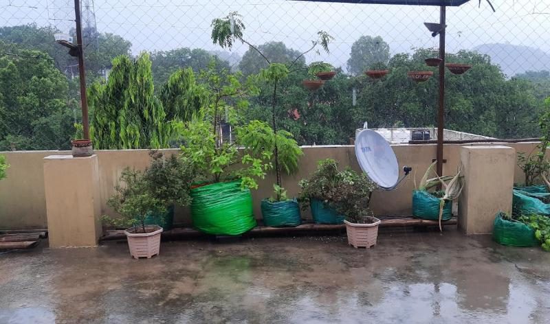 Vedic Life Homestay Jaipur