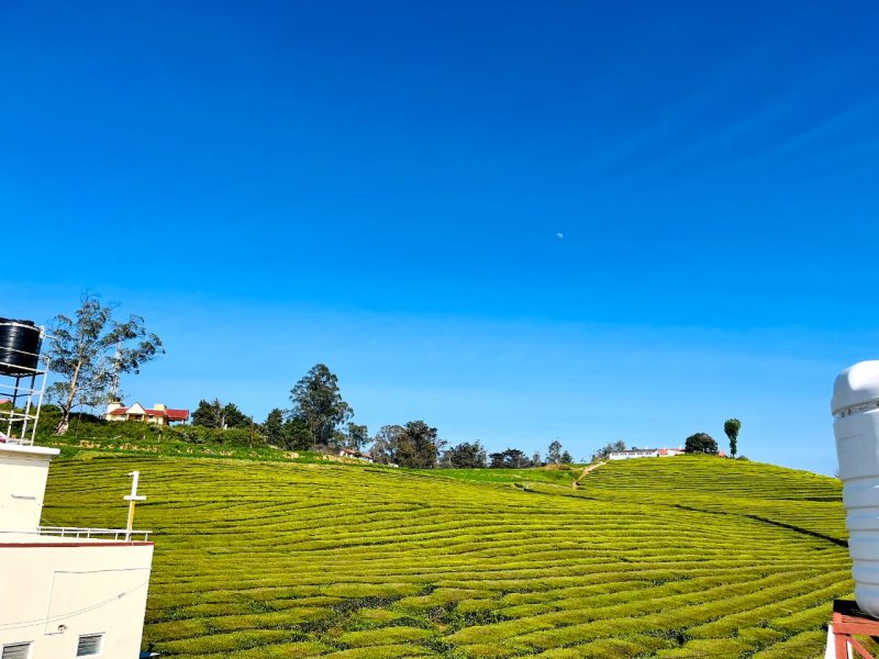 VMR Holidays – Best Homestay & Cottages in Ooty