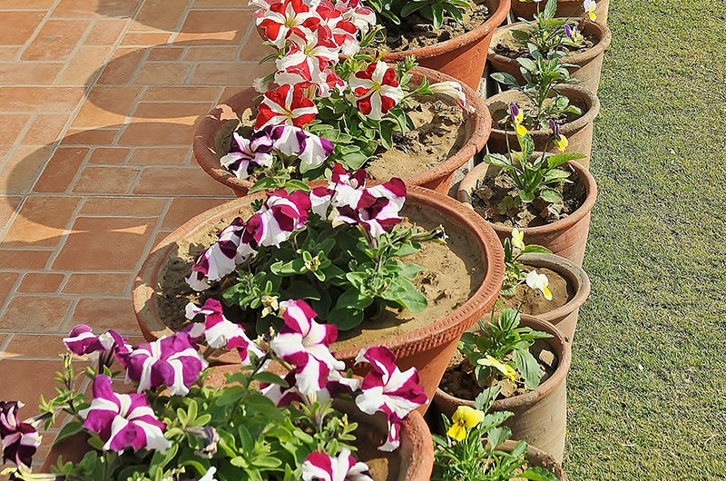 Om Niwas Suite Hotel Jaipur